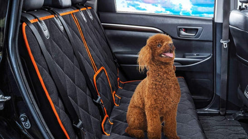Roadpaws Premium Dog Car Hammock Seat Cover